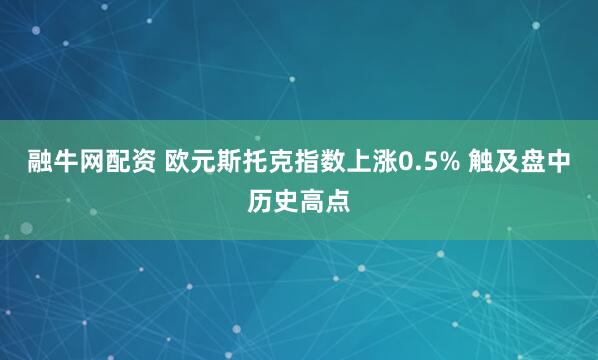融牛网配资 欧元斯托克指数上涨0.5% 触及盘中历史高点
